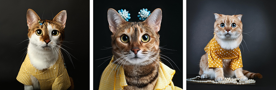 Adobe presenta el modelo Firefly Image 3 Foundation